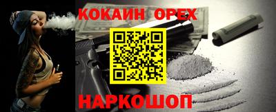 крисы Гатчина
