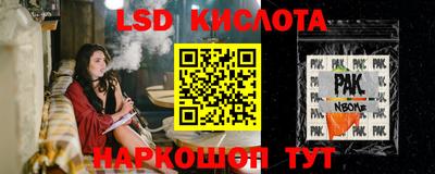 крисы Гатчина