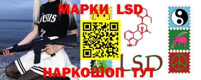 крисы Гатчина