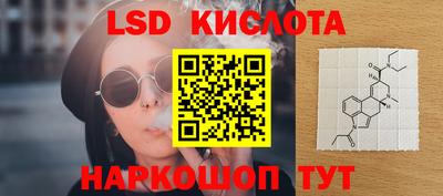 крисы Гатчина