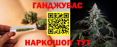 крисы Гатчина