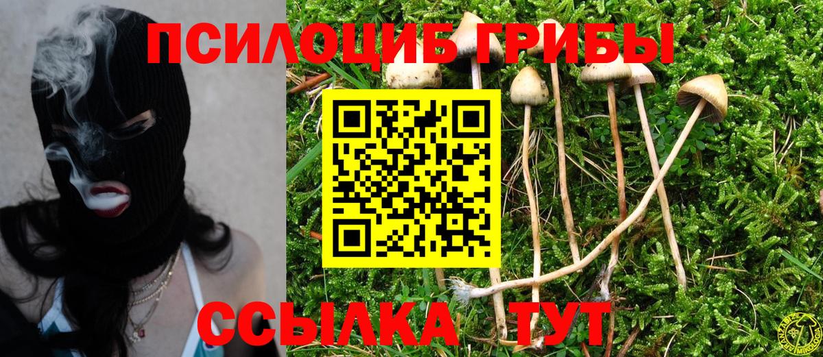 Галлюциногенные грибы Magic Shrooms  как найти закладки  Рассказово  Галлюциногенные грибы Magic Shrooms  Вход с VPN 